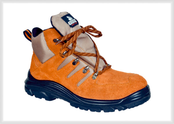 Executive Shoes 01