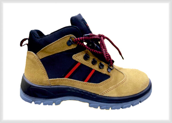 Executive Shoes 05