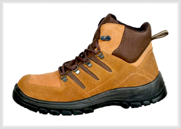 Executive Shoes 14