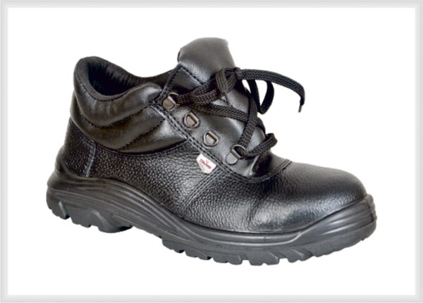 High Ankle shoes 02