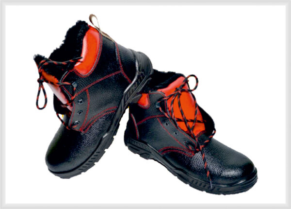 High Ankle shoes 15
