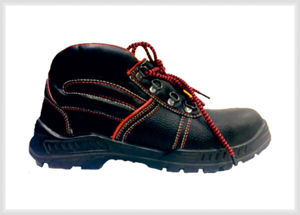 High Ankle shoes 16